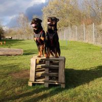 Mara und Samira